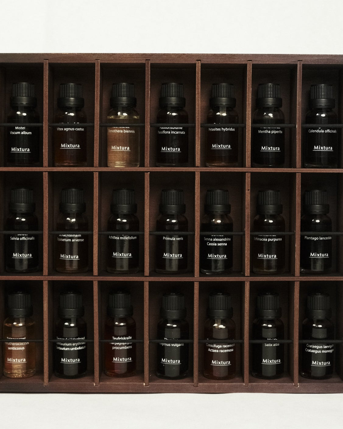 Herbarium-Koffer Tinktur