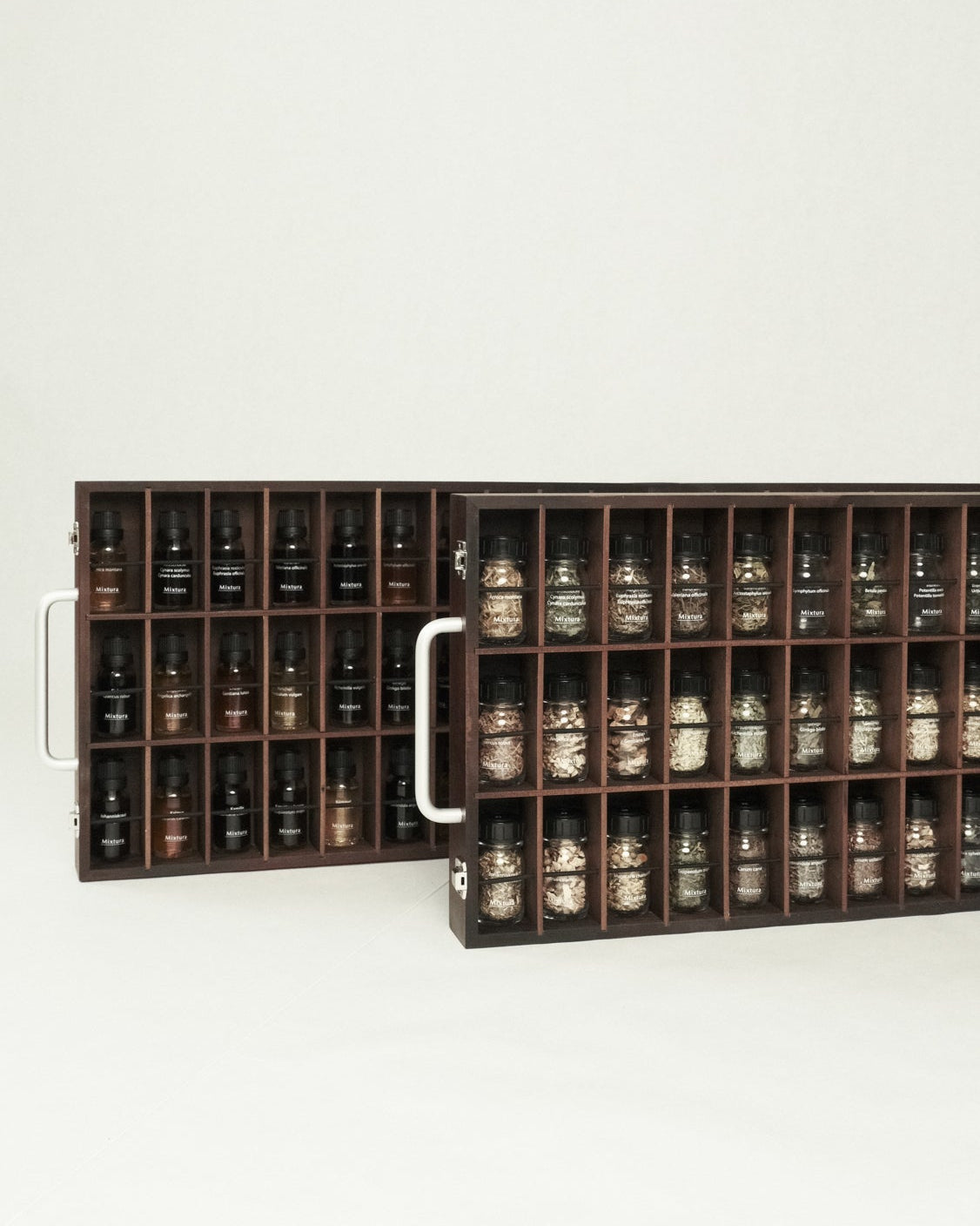 Herbarium-Koffer Set – Tee &amp; Tinktur